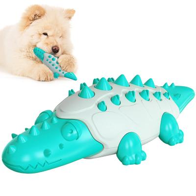 China Wholesale Viable Bulk Cleaning Indestructible Durable Dog Toy Pet Chew Toy Set Of Teeth Toothbrush Natural Rubber for sale