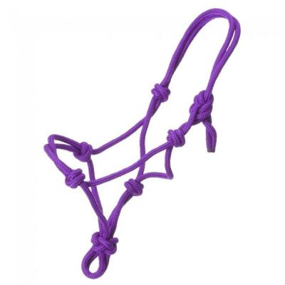 China Horse accessories High Quality Horse Halter Wholesale Small Horse Lead Rope And Halters for sale