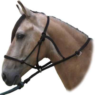 China Horse accessories Customize Braided Horse Lead Rope,Polypropylene Braided Rope Animal Rope Horse Halter for sale