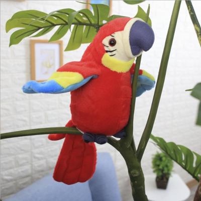 China Wholesale Learn To Speak 2021 New Electric Cute Cartoon Learn Talking Parrot Toys Voice Kids Plush Toy for sale