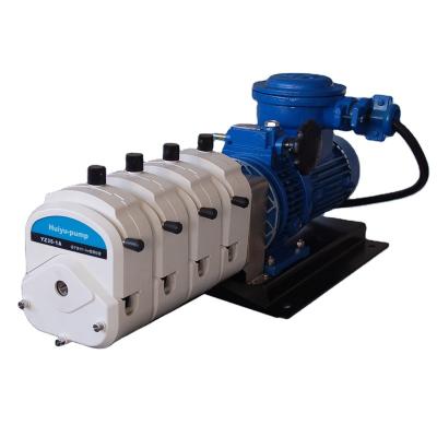 China Food And Beverage Industry Anti Explosive Peristaltic Pump for sale