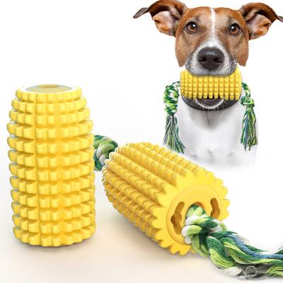 China Viable Indestructible TPR Corn Molars Stick Anti-Sharp Toothbrush Teether Dog Chew Toy for sale