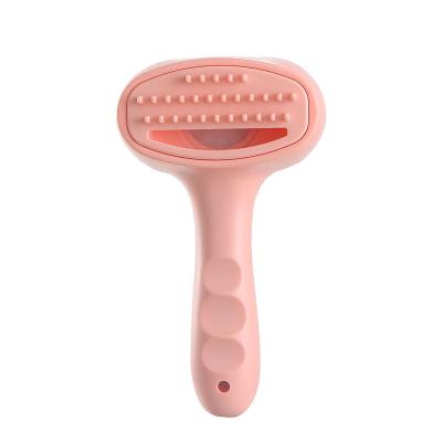 China Eco-Friendly Grooming Comb Pet Hair Removal Comb Battery Pet Cleaning Brush For Dogs for sale