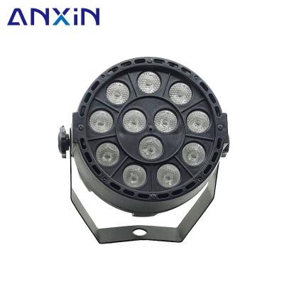 China Plastic LANDSCAPE 12w 12cs LED RGB Dmx Control Sound Activated Stage Par Light for sale