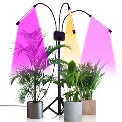 China Seed Seed Growing Full Spectrum 60W 80W Plant Grow Lights With Stand Grow Lights For Indoor Plants 10 Dimmable Brightness Red Led Grow Light s for sale