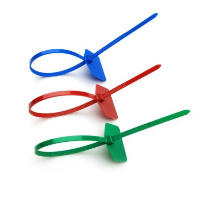 China Custom Zip Tags Tie Writeable 220mm Nylon with Marking / Labelling Area 30*21 mm for sale