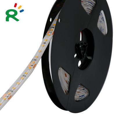 China Theme Park SMD2835 120LEDs/m 24V IP65 Waterproof Silicone Decorative 3000K Led Strip Light For Outdoor for sale