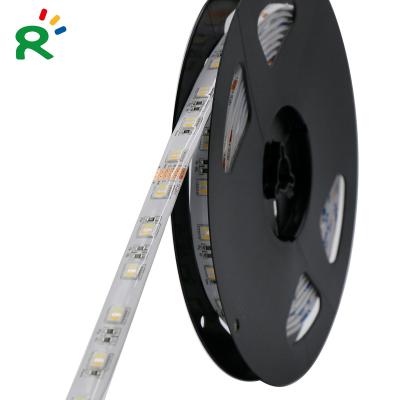 China IP65 theme park waterproof outdoor boat decorative led strip smd5050 RGBWW DC24V 5chips in 1 factory direct sale for sale