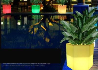 China PE Rechargeable Plastic Solar Glow In The Dark Flower Pots 16 Colors Changing for sale