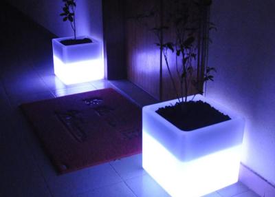 China Square Illuminated Plant Pots Multicolor Change Round Glow In Dark Flower Pots for sale