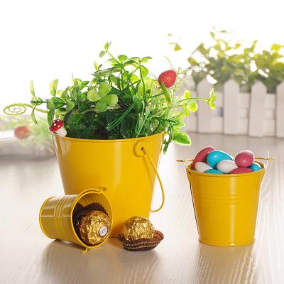 China Mini Tin Bucket Metal Crafts Iron Barrel Tinplate Plant Succulent Pot Home Decor Durable Solid Luminous Viable Decorative AntiDeform for sale