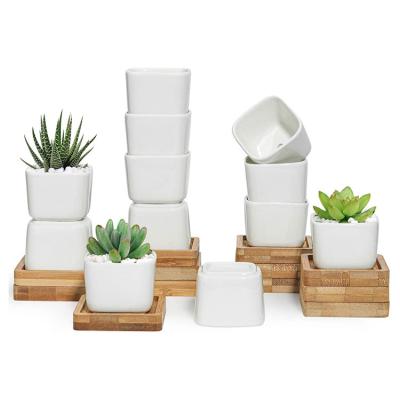 China Drain hole included 2 inch top selling small succulent pots for cactus household ceramic pots white ceramic planter for sale