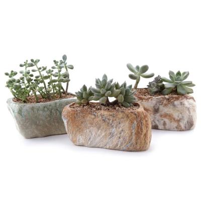 China 5.5 Inch Minimalist Ceramic Succulents and Cactus for Home and Office Pots Flower Pots and Planters Flower Pots for sale