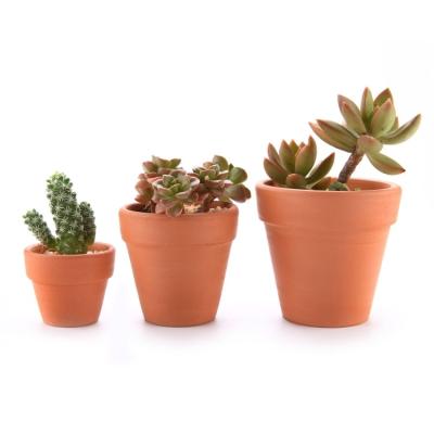 China Contemporary China Manufacturing Clay Terracotta Pots Red Plant Pot For Succulent And Small Plants Terracotta Pot for sale