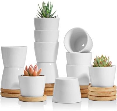 China Drain Hole Included Classic Best Selling Small Pots For Succulent Plants Ceramic Pots For Small Cactus Pots For Succulent Plants for sale