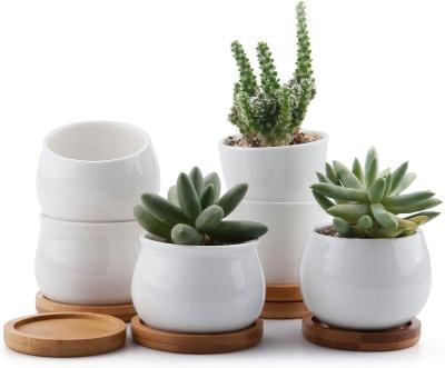 China Ceramic succulent pot 2.5 inch mini minimalist classic white pot for decoration wholesale ceramic pots with bamboo trays for sale