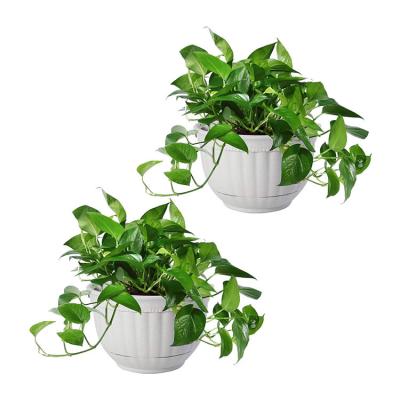 China Durable Material Top Selling White Wall Hanging Planters For Indoor Plants Hanging Flower Pots For Home And Garden Plastic Pots For Air Plants for sale