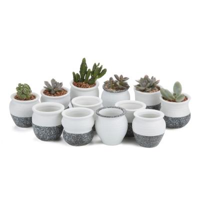 China With Drainage Hole 2.5 Inch Cement Succulent Planter Modern Flower Pots Mini Planter Indoor Ceramic Pot for sale