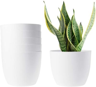 China Self Watering Planter Plastic Self Watering Planter Violet Pots Plastic White Flower African Plant Pot for sale