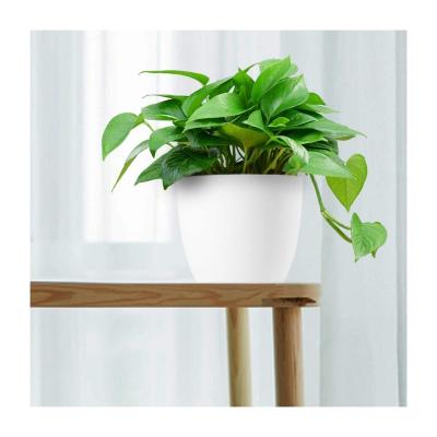 China Self Watering Self Watering Flower Pot Plastic Garden Plant Home Indoor Potted Plants Small Smart Planters for sale