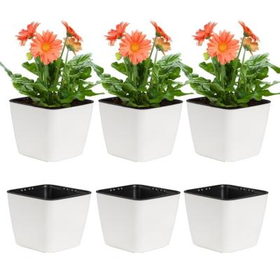 China With Liner Custom Made Plastic Table Mini Planter Pots, Customize Your Own Plastic Mini Flower Pots for sale