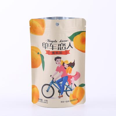 China Customized Security Stand Up Small Resealable Mylar Plastic Bag Aluminum Foil Compound Plastic Bag Mylar Bag 1 Gallon for sale