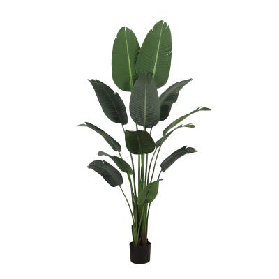 China Plastic Traveler 180cmArtificial Banana is used for indoor artificial tree green decoration artificial tree for home artificial plant for sale