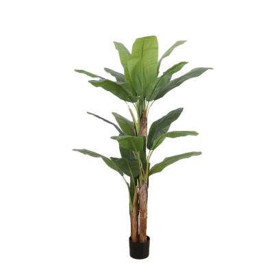 China Type: Decorative Home 180cm Potted Plant Tree Plants Indoor Green Plants Nearly Natural Artificial Potted Banana Leaf Plants Artificial Banana Tree for sale