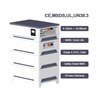 China 5 Years Warranty 51.2V 100Ah Solar Energy Storage System with Integrated Inverter for Solar Installations for sale