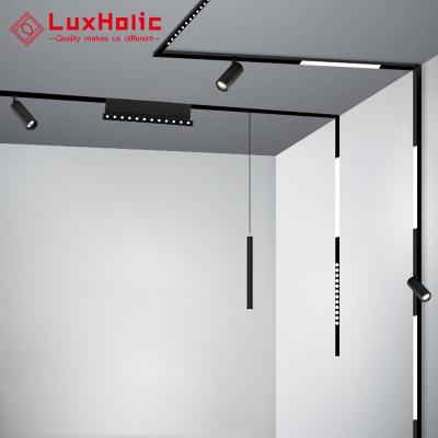 China LuxHolic Modern Aluminum Modern Ceiling Recessed Track Magnet Light 9w 14w Dimmable Cob Led Track System Magnetic Track Light For Indoor for sale