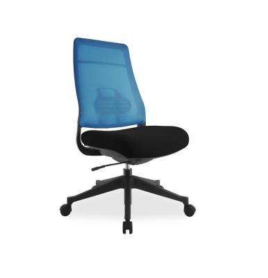 China High Quality Ergonomic(Height)Adjustable Taiwan Manufacturer Executive High Back Mesh Office Chair with Nylon Legs Star Base for sale