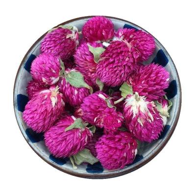 China Vitamin Qian Ri Hong Dry Flowers Health Flower Tea Globe Amaranth Tea Herbal Tea for sale