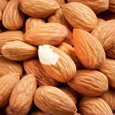 China Wholesale Price Dried Shelled Delicious Almonds And Healthy Raw Almonds Nuts for sale