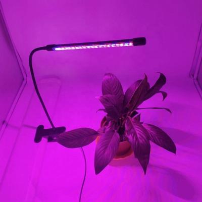 China Seed Starting LED To Grow Full Spectrum Fitolamp USB Phyto Light Lamp With Control Phytolamp For Plants Seedlings Flower Home Tent for sale