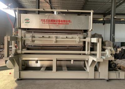 China Waste Paper Egg Tray Machine 60T for sale