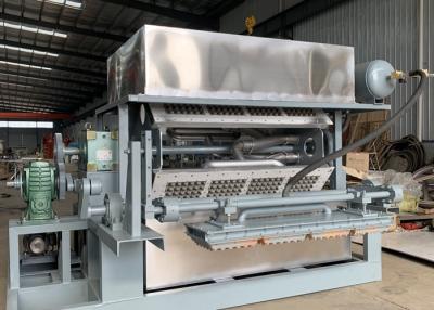 China WS-3000 ovo totalmente automático Tray Machine à venda