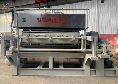 China Full Automatic WS-7000 Paper Pulp Molding Machine With Chain Dryer for sale