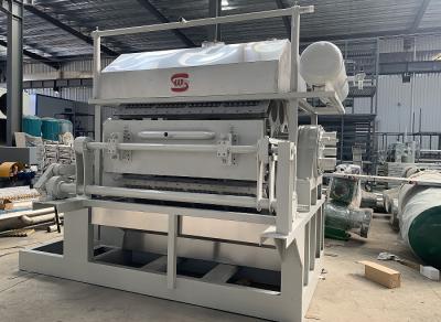 China A celulose moldou 5 pela linha de produção de Tray Machine For Pulp Molding de 8 ovos à venda