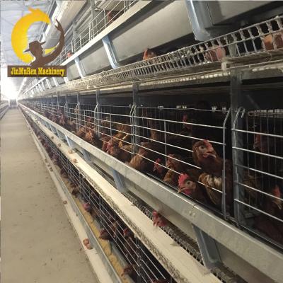 China Commercial Chicken Feeding Jinmuren Animal Cages Chicken Layer Cage Battery Cage Hot Sale for sale