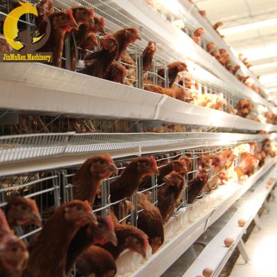 China Farms Jinmuren Chicken Layer Cage Battery Cage Layer Poultry Cages New Price In Bangladesh for sale