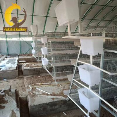 China Cultivate Jinmuren 10000 layer chicken farm bird layer cage high quality battery cage for sale for sale