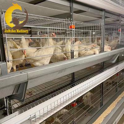 China Commercial Chicken Feeding Jinmuren H Type Layer Chicken Cage Battery Cage Raising 50 000 Layer Chickens Project Customer Choose for sale