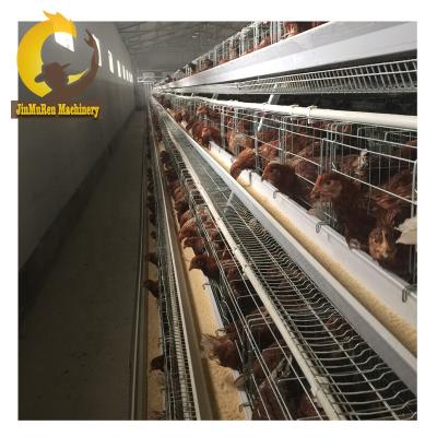 China Commercial Chicken Feeding In Jinmuren Automatic Chicken Cage System Poultry Farm Equipment For Sale for sale