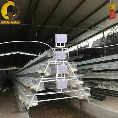 China Commercial Chicken Feeding Jinmuren A Type Hot Galvanized Layer Chicken Cage Equipment For Raising 10000 Chickens Project for sale