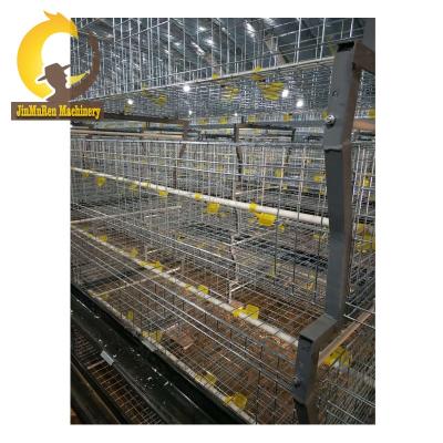 China Commercial Chicken Feeding Jinmuren Automatic Broiler Chicken Cage For Uzbekistan Market for sale