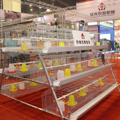 China Cultivate Jinmuren Poultry Farm Cage Rearing Hot-selling System / Day-old Chick Equipment Cage For Sale for sale