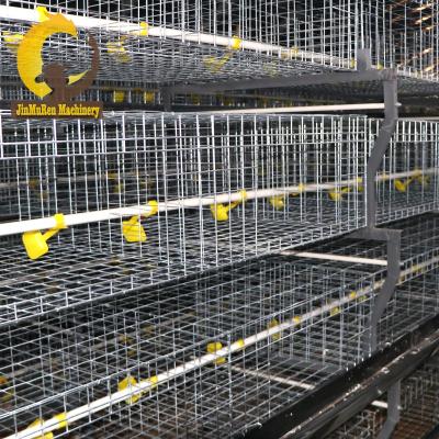 China Farms cheap and durable Jinmuren poultry farming small baby chick h type cages for sale with low price for sale