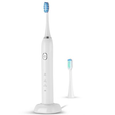 China ODM Sonic Electric Toothbrush Manufacturer Supplier OEM IPX7 Waterproof 48000 Times Virbration ST-206 for sale