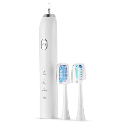 China Ultrasonic Hotel OEM 650mAh Rechargeable Electric Toothbrush for sale