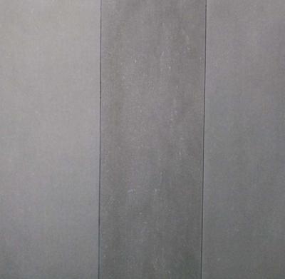 China China Modern Professional Cement Board Wall Paneling for sale